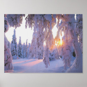 Vinter Poster