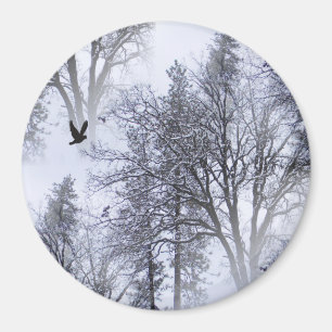 Vinter Raven... Magnet