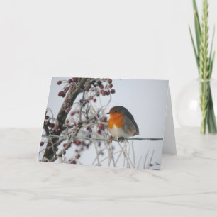 Vinter Robin Helgkort
