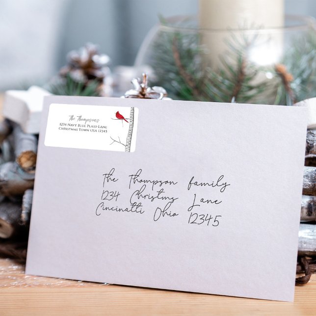 Vinter Röd Kardinal Akvarell Adressetikett (Simple winter red cardinal and birch tree return address label. )