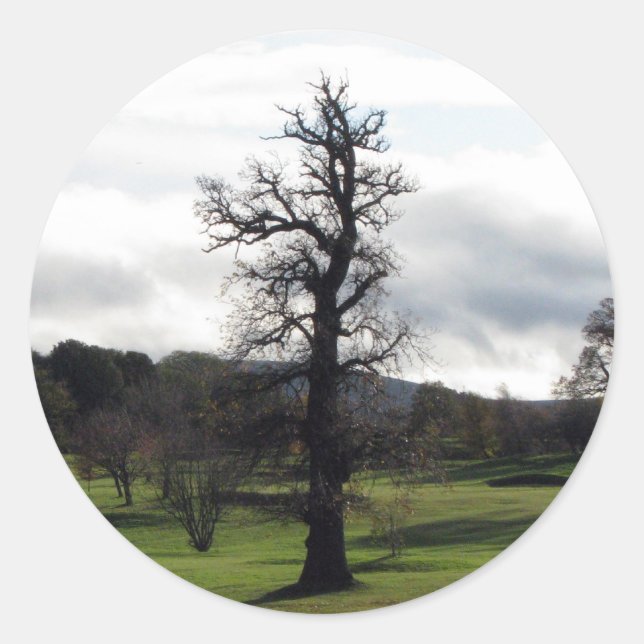 Vinter Runt Klistermärke (Framsida)