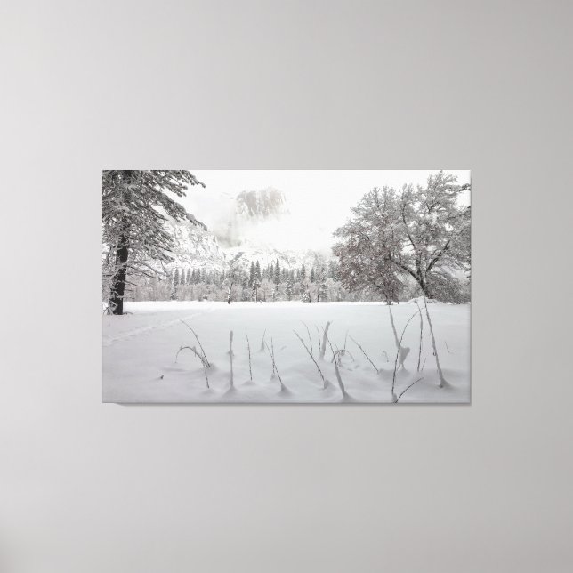 Vinter Scene Canvastryck (Framsida)