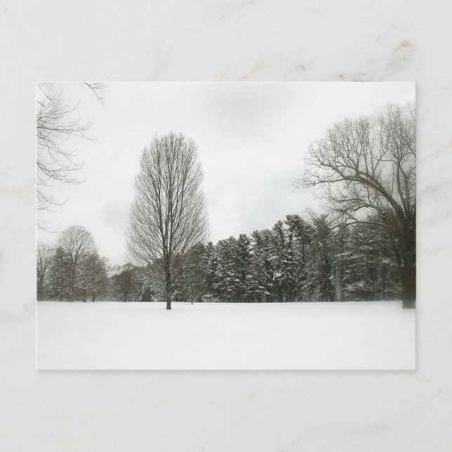 Vinter Scene Vykort (Framsida)