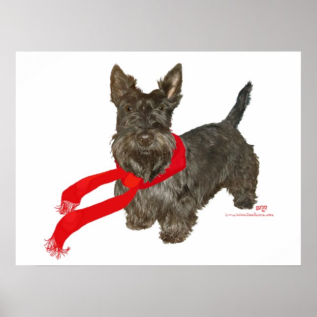 Vinter Scottie i Wam-scarf Poster (Framsidan)