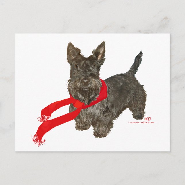 Vinter Scottie i Wam-scarf Vykort (Framsida)