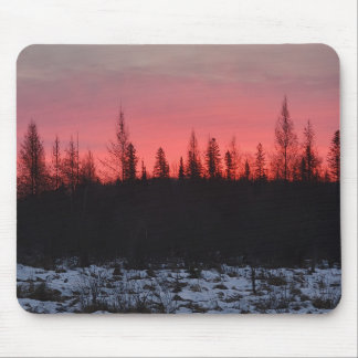 Vinter sen morgon musmattan musmatta