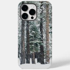 Vinter skog snö träd