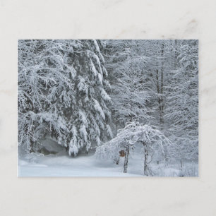 Vinter skog snötäckt landskapsfotografi vykort