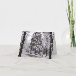 Vinter skog tom välkomstkort kort