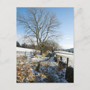Vinter-skogskortet i Macclesfield Vykort