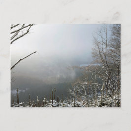 Vinter-skogskortet i Macclesfield Vykort