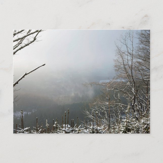 Vinter-skogskortet i Macclesfield Vykort (Framsida)