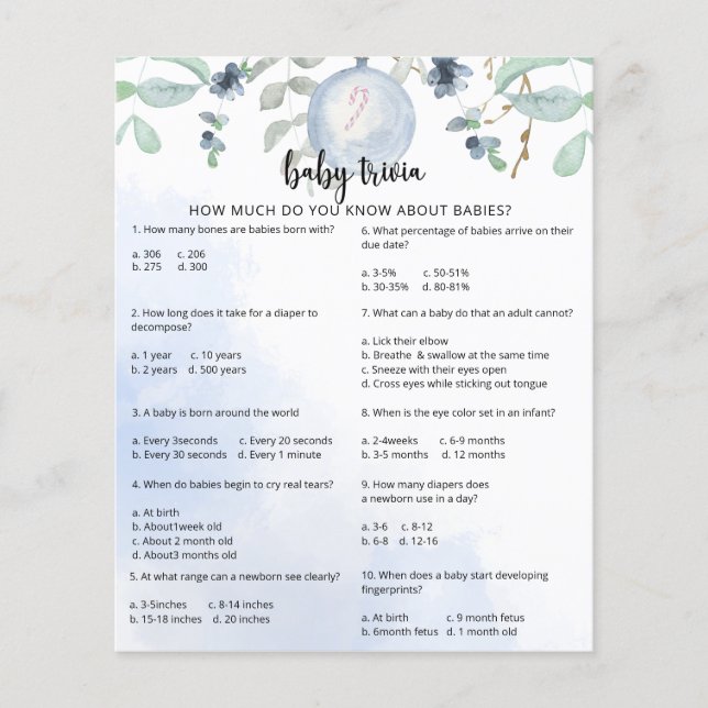 Vinter Snö Baby Fakta | Baby Shower Spel (Framsida)