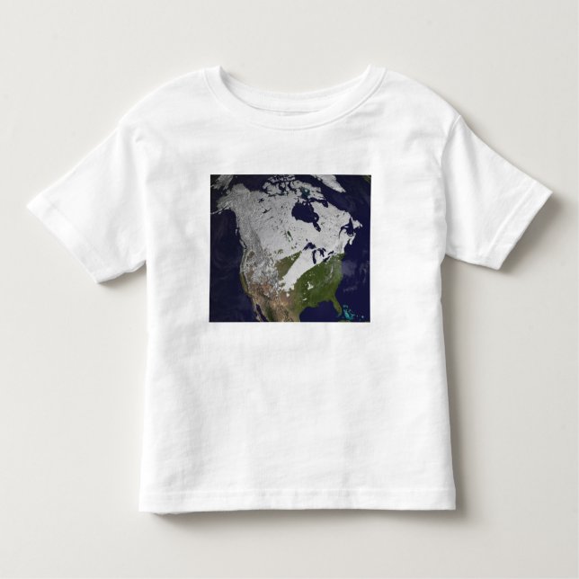 Vinter Snö Cover i norra halvklotet T Shirt (Framsida)
