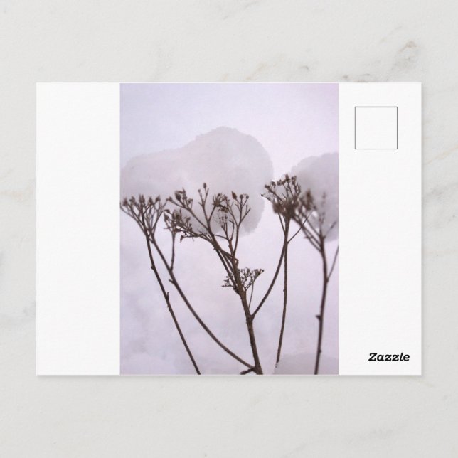 Vinter snö foto vykort (Baksida)