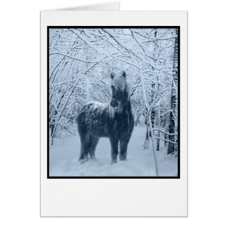 Vinter snö häst hälsningskort