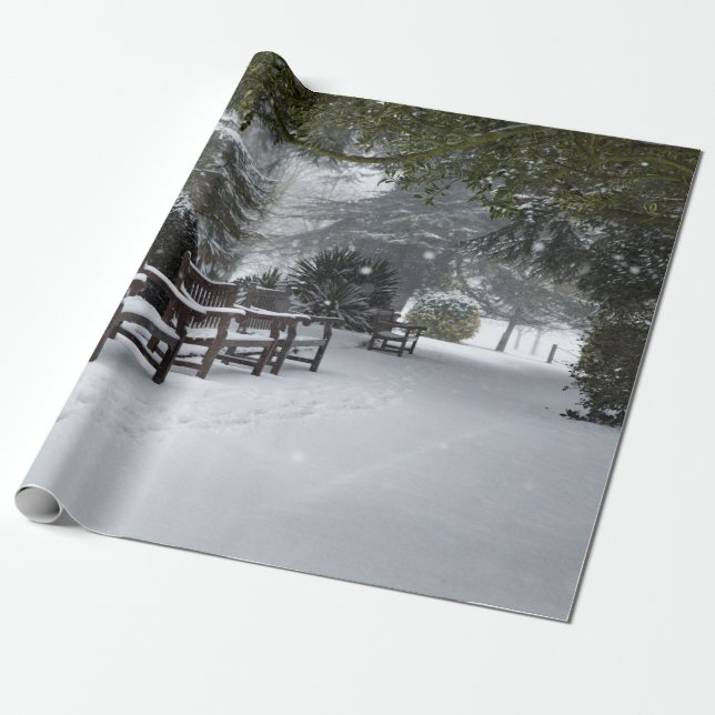 Vinter Snö i parken Presentpapper (Utrullad)