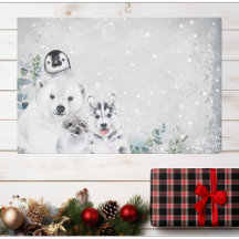 Vinter Snö Jul Arktisk Baby Djur