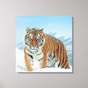 Vinter Snö Nature Photo Tiger Mountains Canvas
