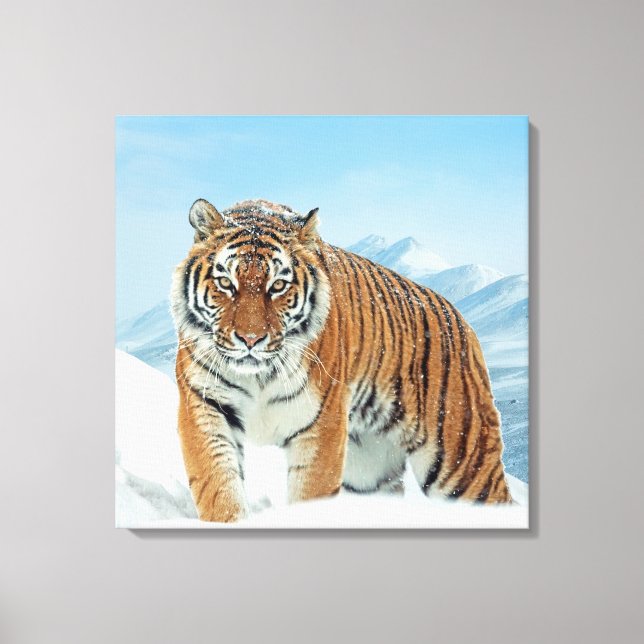 Vinter Snö Nature Photo Tiger Mountains Canvas (Framsida)
