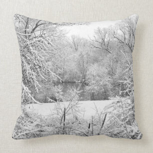 Vinter Snö vid Huron Kudde