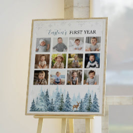 Vinter-snöflummel - första året - fotmilstolpsteck poster