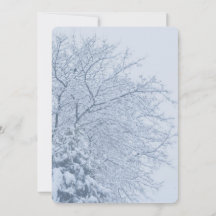 Vinter Snöiga Trädgrenar