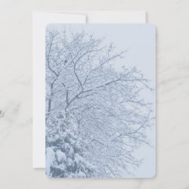 Vinter Snöiga Trädgrenar Inbjudningar