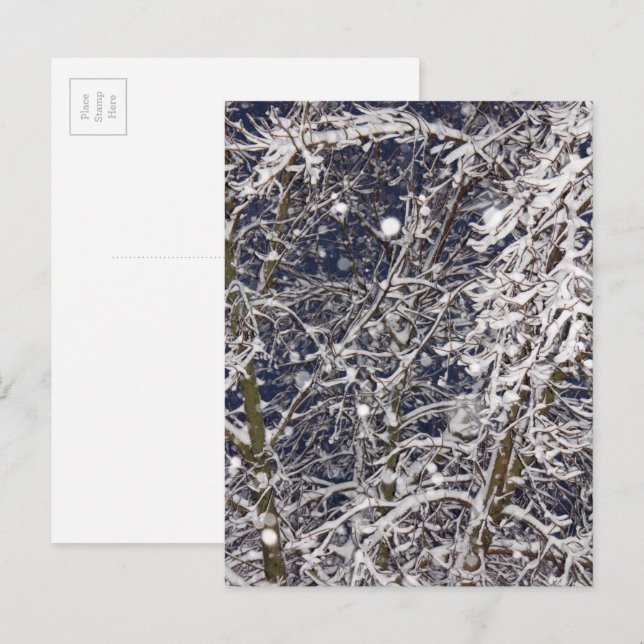 Vinter snöstorm Storm Snöig Träd Natur Fotografi Vykort (Fram/baksida)