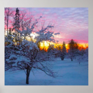 Vinter solnedgång poster