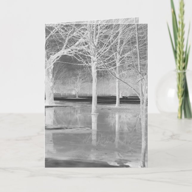 Vinter Solstånd Greeting Card av Janz Helgkort (Framsida)