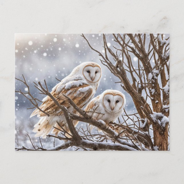 Vinter Solstånd Yule Ugglor Snö Helg Vykort (Framsida)
