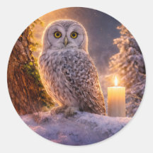 Vinter Solstice Jul Uggla och Ljus Snö