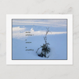 Vinter Solstice-vykort Vykort