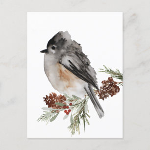 Vinter Sparrow på Spruce med röda bär Vykort