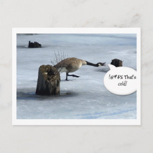 Vinter sucks vykort