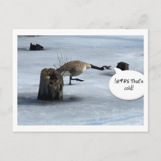 Vinter sucks vykort