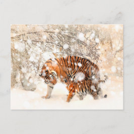 Vinter-tigrar Vykort
