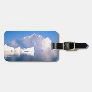 Vinter till och med isbergen bagagebricka