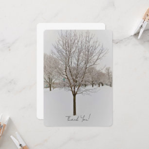 Vinter Träd Fotografi