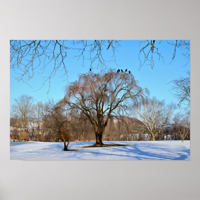 Vinter Träd med fåglar Poster (Framsidan)