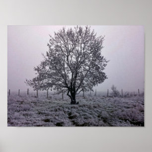 Vinter Trädlandskap Poster