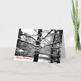 Vinter v.2 [julkort] helgkort