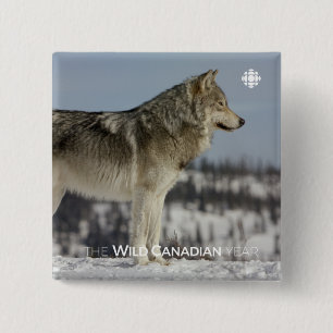 Vinter - Varg Knapp