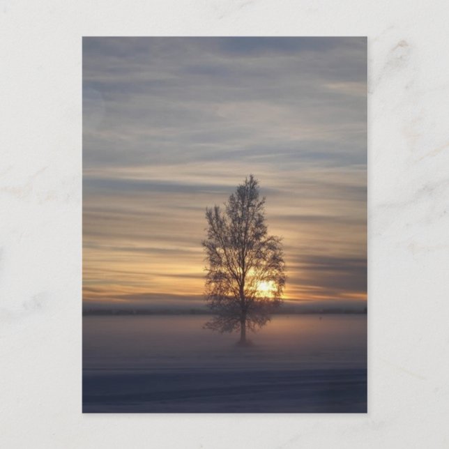 Vinter vid Ft. Wainwright Vykort (Framsida)