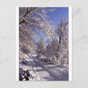 Vinter Vykort