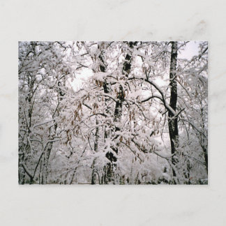 Vinter Vykort