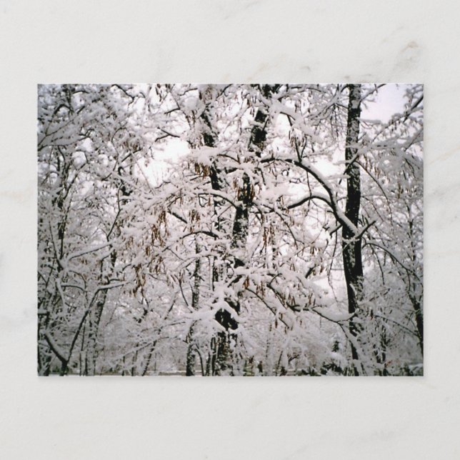 Vinter Vykort (Framsida)