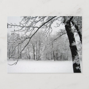vinter vykort