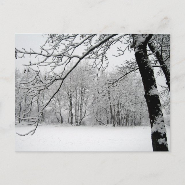 vinter vykort (Framsida)